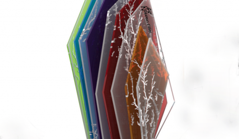 trophee-gagnant